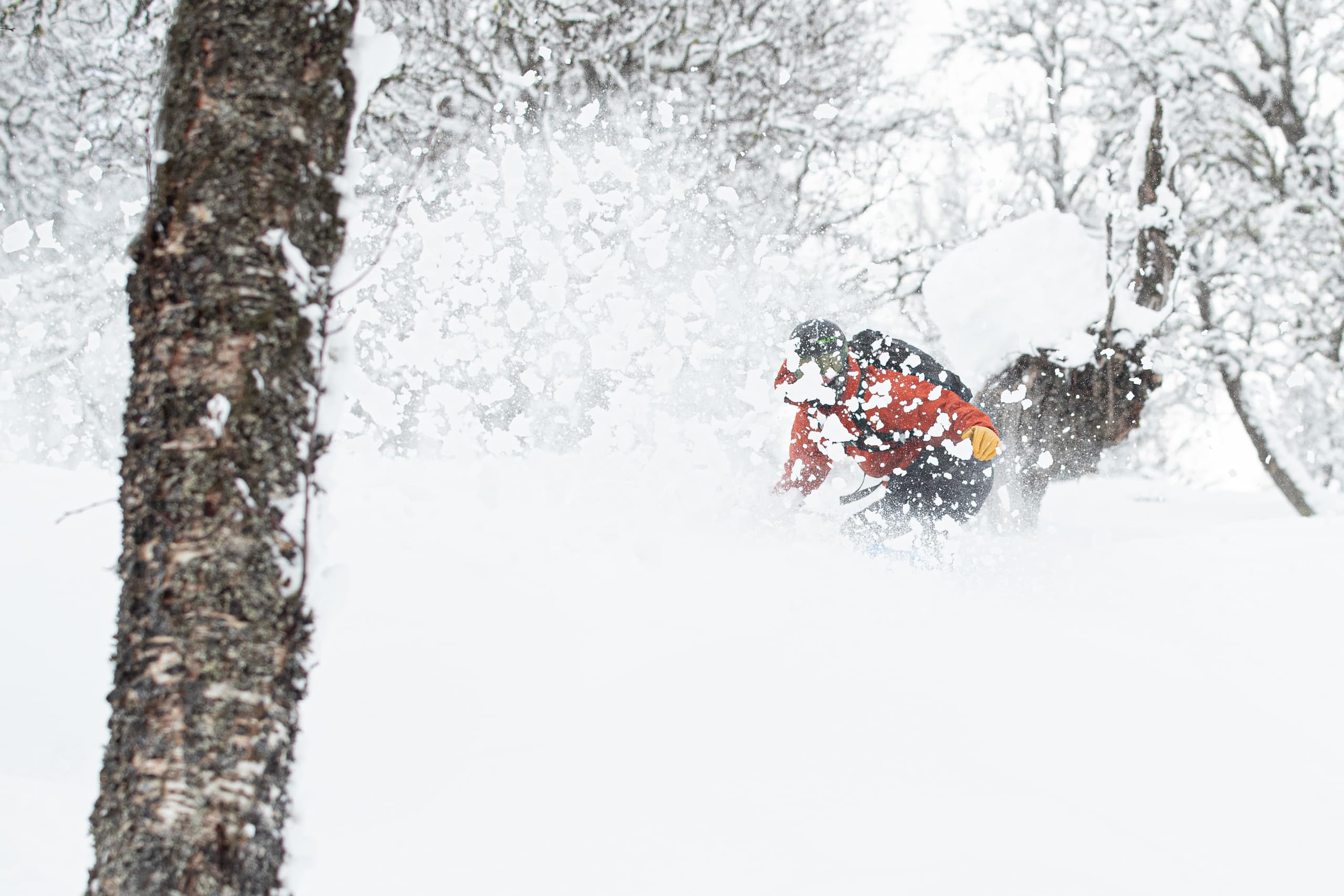Sogndal Skisenter - Hodlekve